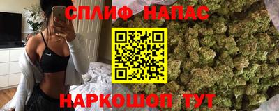 сатива Гагарин