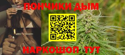 сатива Гагарин